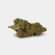 Flores CBD GB Outdoor 'Amnesia'