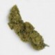 Flores CBD Outdoor 25 g + Neceser Antiolor GB