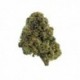 Flores The Tree CBD Indoor 'Skywalker OG'