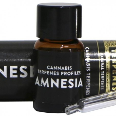 Terpenos Amnesia