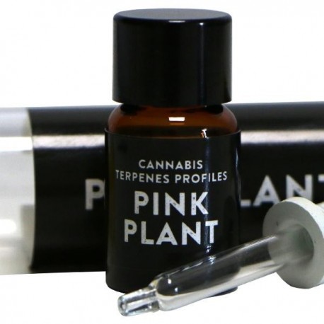 Terpenos Pink Plant