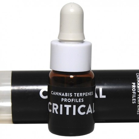 Terpenos Critical