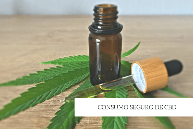 es seguro el consumo de CBD