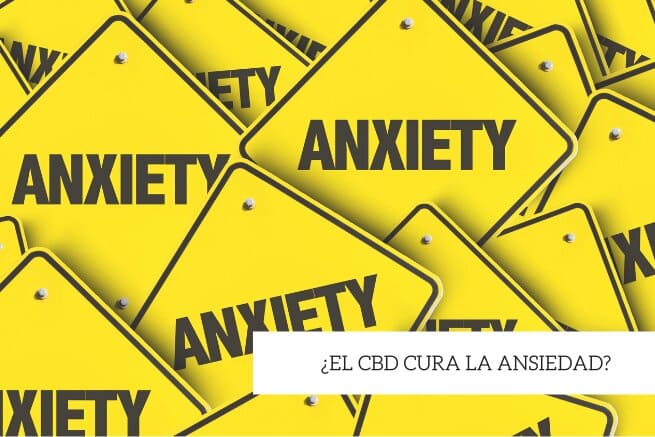 cbd cura la ansiedad