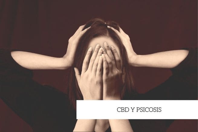 cbd y psicosis