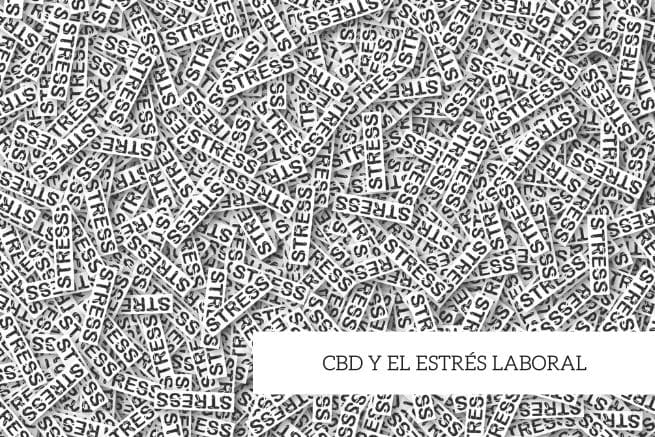 cannabis estres