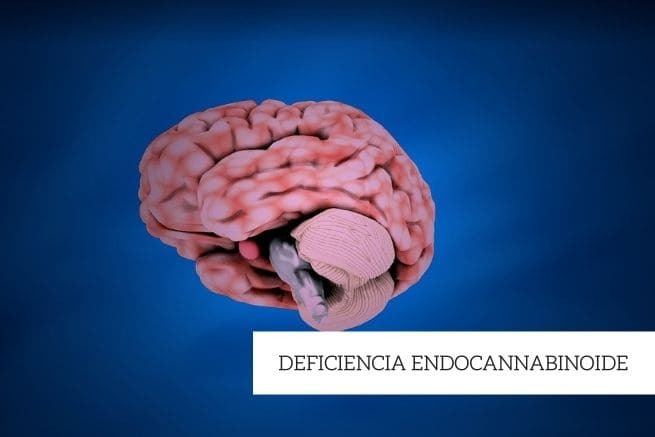 deficiencia endocannabinoide clinica