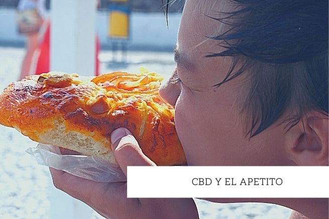 cbd y apetito