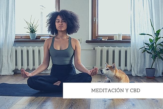 meditacion y cbd