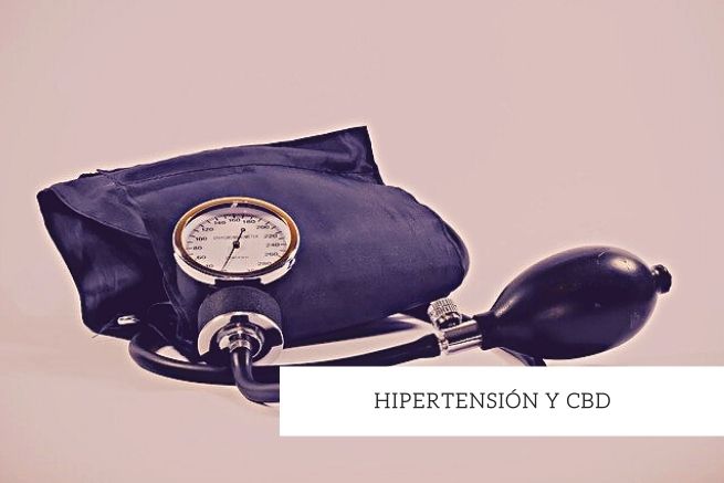 hipertension y cdb como tratamiento