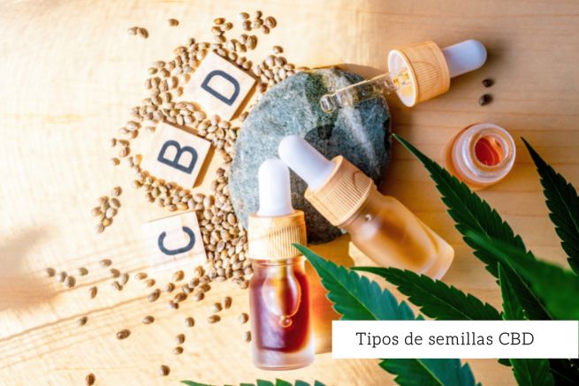 Tipos de semillas de CBD