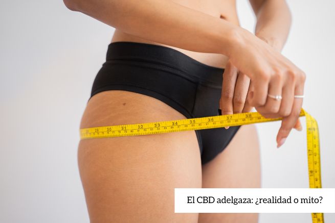 CBD adelgaza: ¿realidad o mito?
