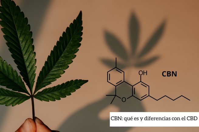 CBN qué es