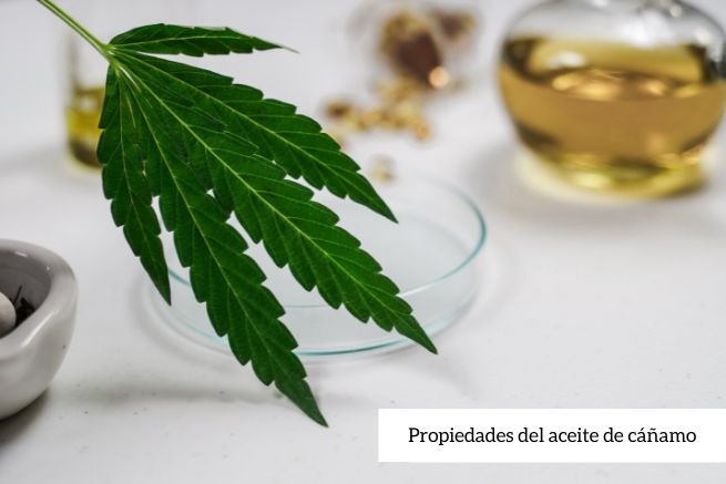 Aceite de cáñamo: propiedades