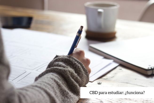 CBD para estudiar