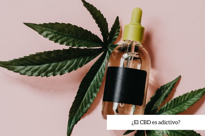 ¿El CBD es adictivo?