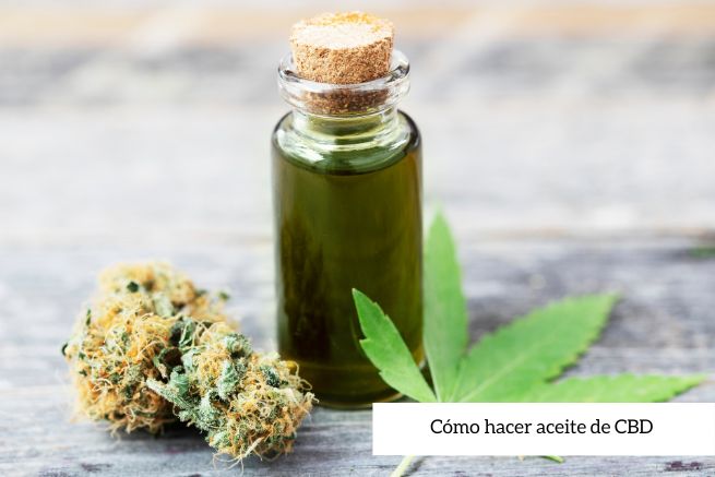 Cómo hacer aceite de CBD
