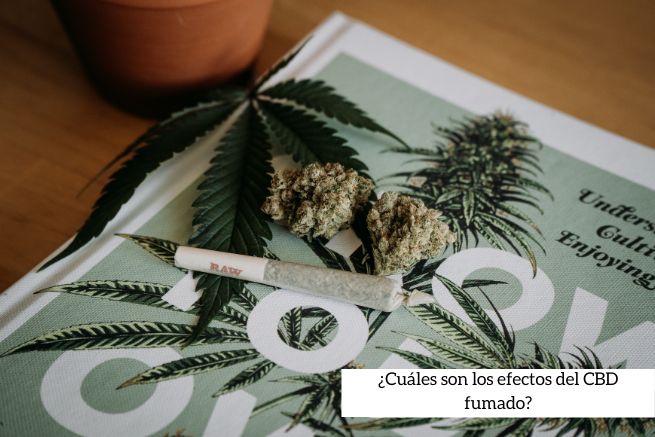 Efectos del CBD fumado