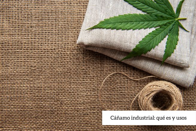 Cáñamo industrial: usos