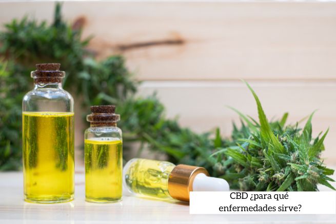 CBD para qué enfermedades sirve